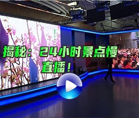 为你揭秘：24小时景点慢直播！