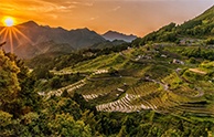创新种植-种植慢直播解决方案