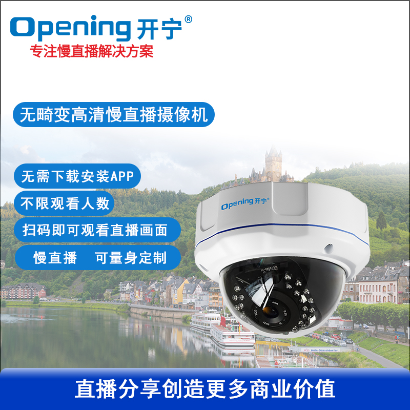 无畸变慢直播防暴半球摄像机
